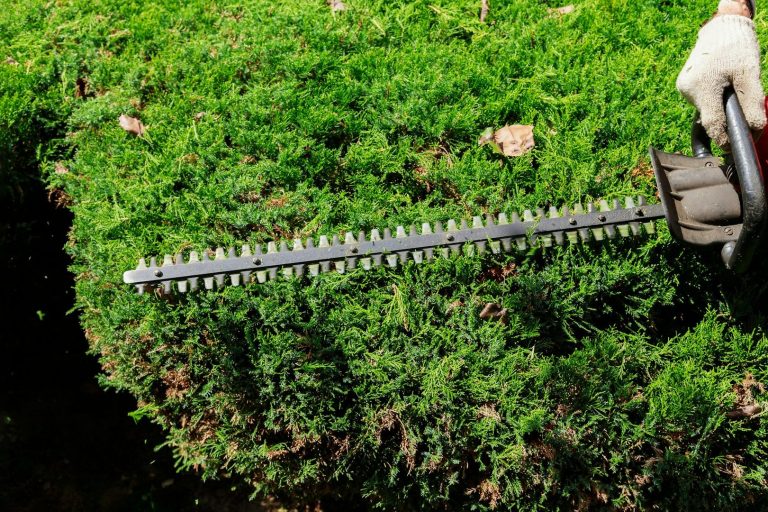 Außenanlagenpflege Gartenpflege Hausmeisterservice Außenanlagenpflege Gartenpflege Hausmeisterservice